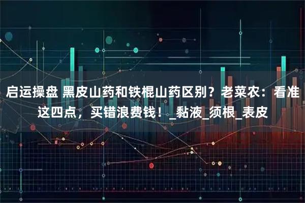 启运操盘 黑皮山药和铁棍山药区别？老菜农：看准这四点，买错浪费钱！_黏液_须根_表皮