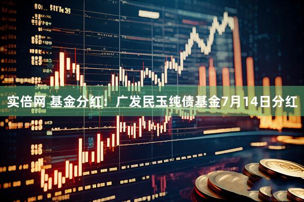 实倍网 基金分红：广发民玉纯债基金7月14日分红
