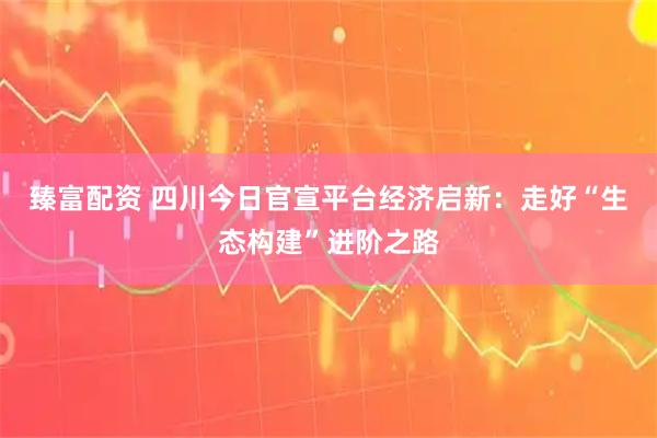 臻富配资 四川今日官宣平台经济启新：走好“生态构建”进阶之路